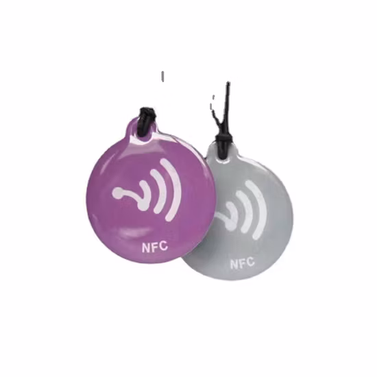 Индивидуальный HF RFID 13,56 МГц QR-печатный брелок NFC Брелок для ключей из эпоксидной смолы Метка для домашних животных